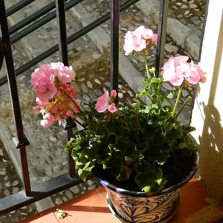 Escapadas Romanticas En Granada Jacuzzi Εξωτερικό φωτογραφία